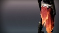 Thumbnail for version as of 19:16, 13 June 2026