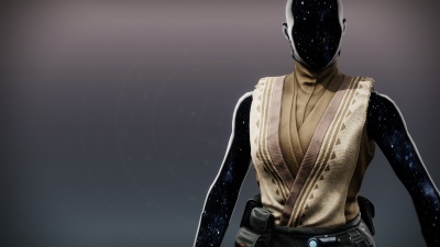 Sage Protector Vest1.jpg