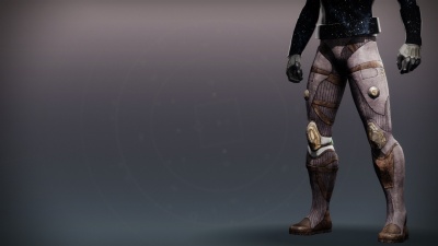 AION Adapter Boots1.jpg